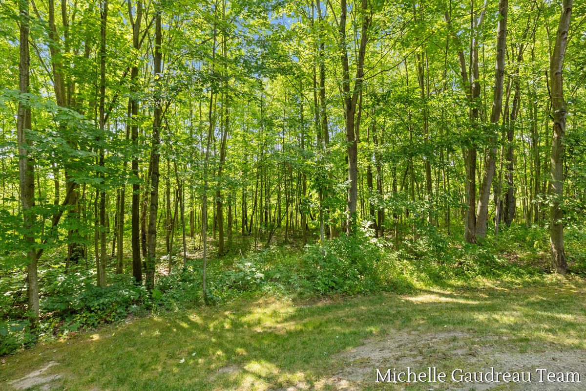 6244 Black Creek Drive Property Photo 60