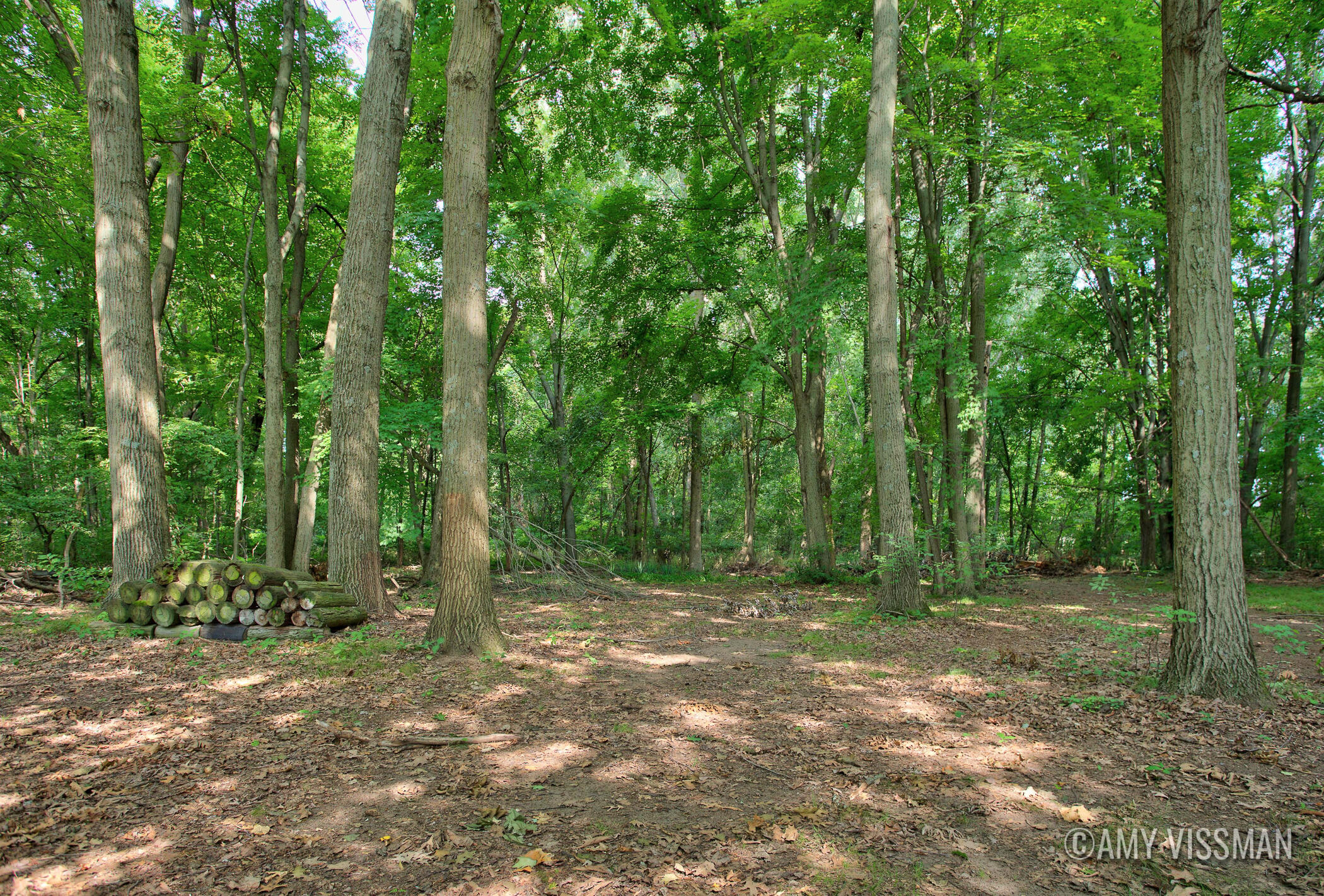 2083 Archwood Drive Property Photo 64
