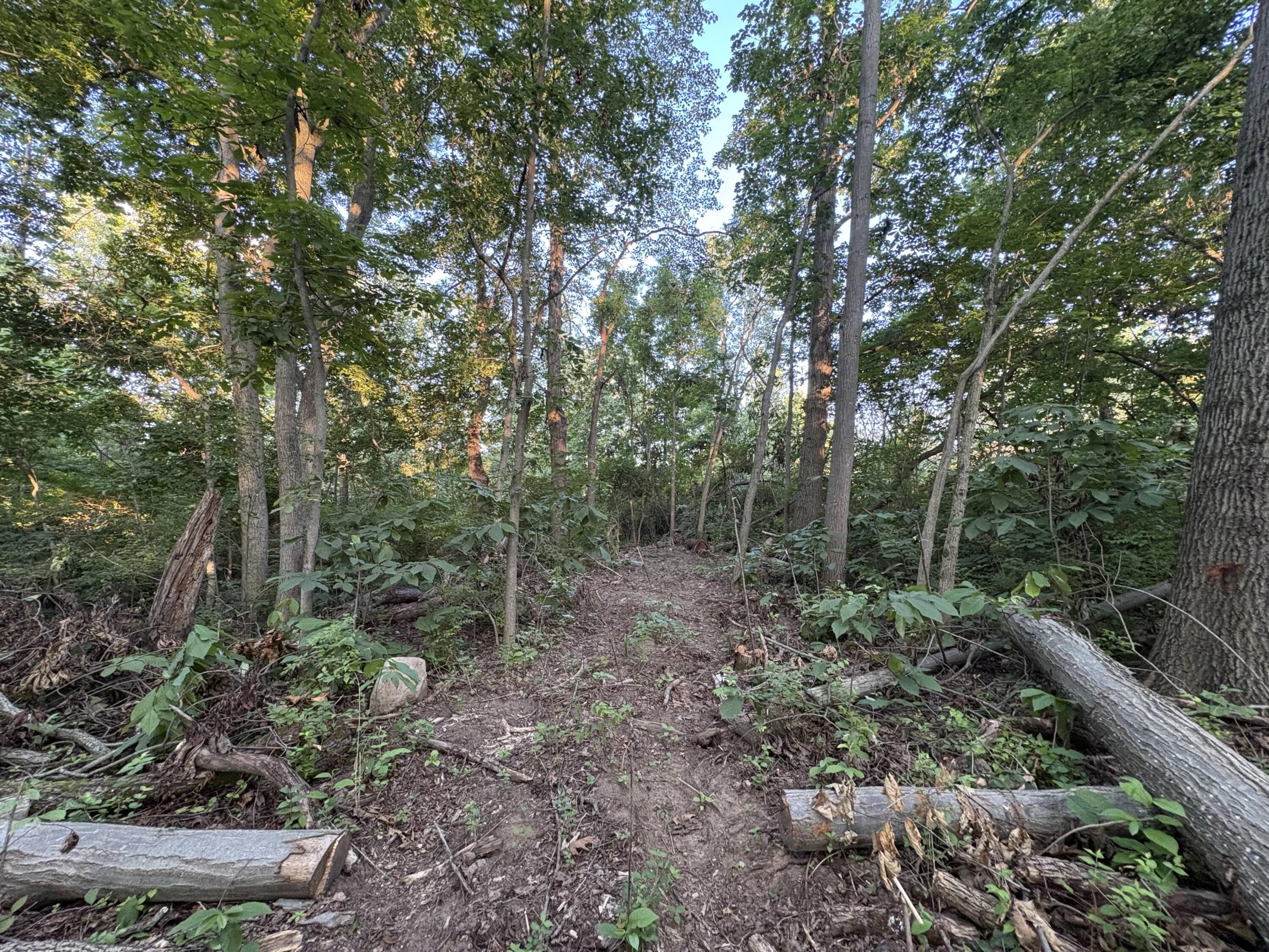 1503 Echo Valley Drive Property Photo 2