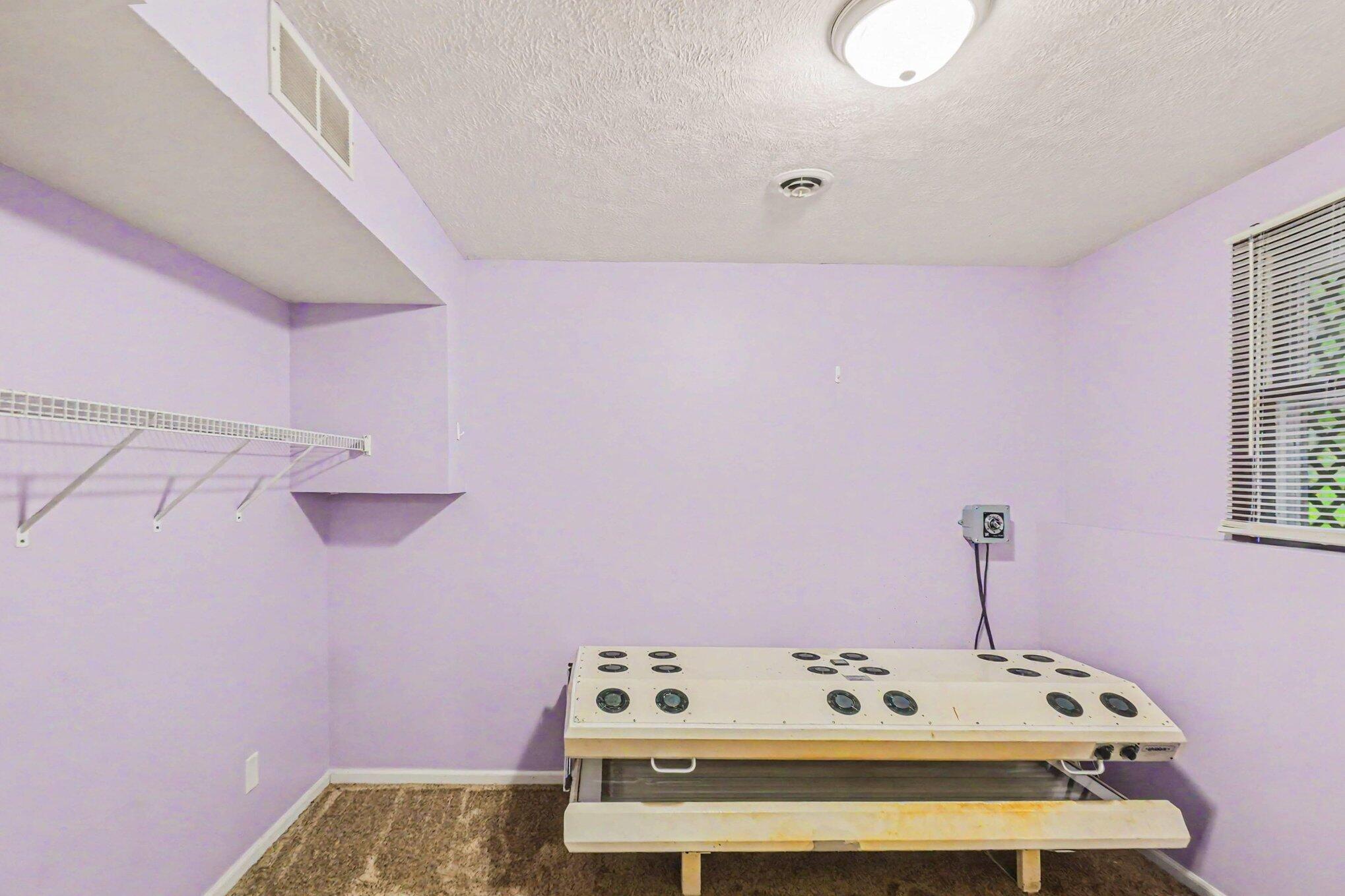 20420 Thornapple Lane Property Photo 21