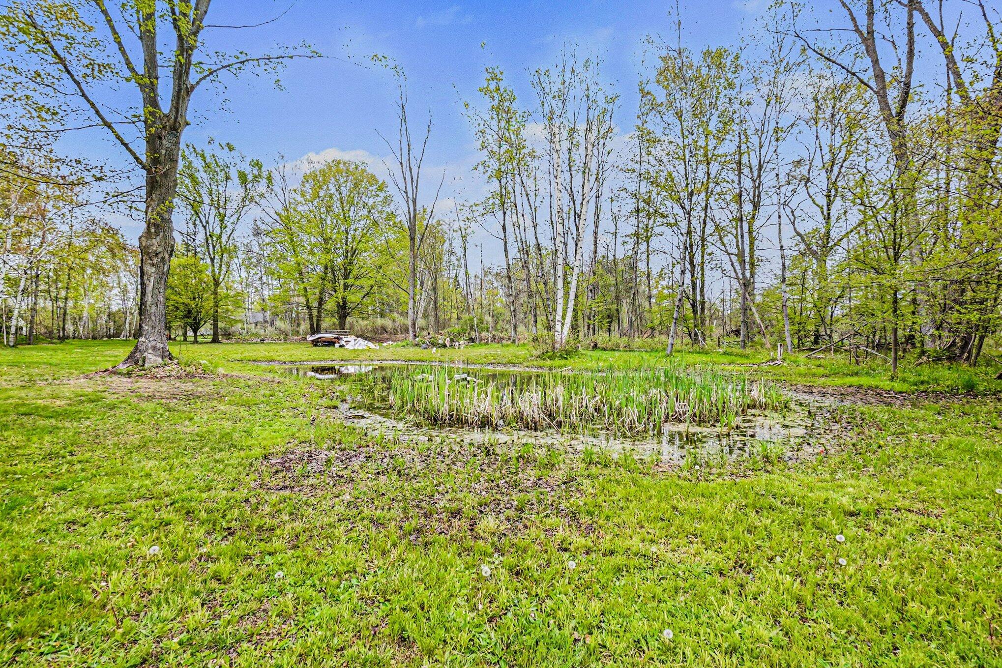 20420 Thornapple Lane Property Photo 26