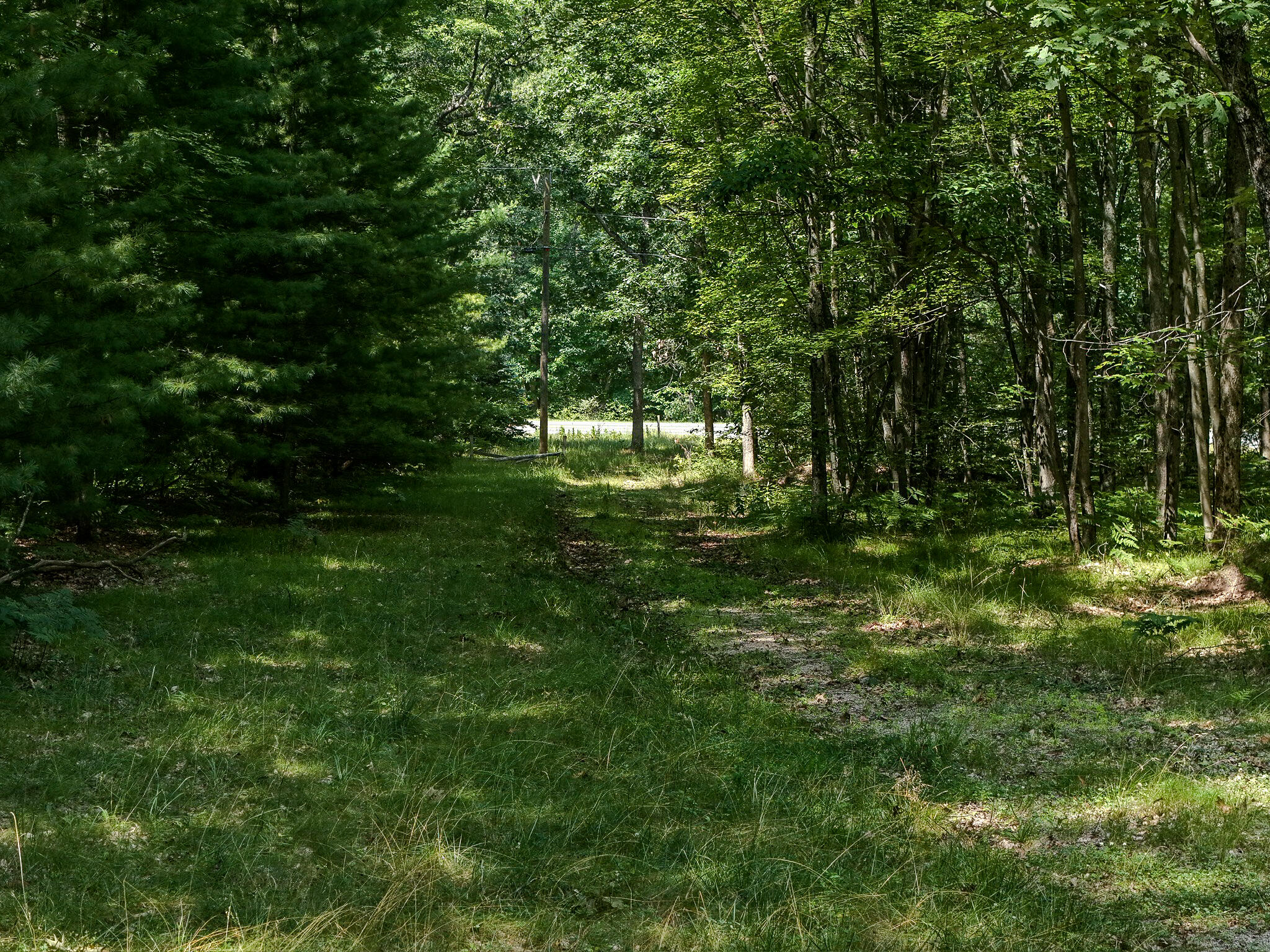 598 N M-37 Property Photo 21