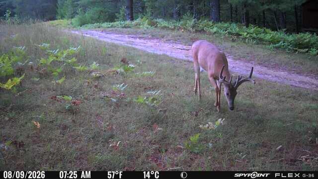 6898 E 5 Mile Road Property Photo 3