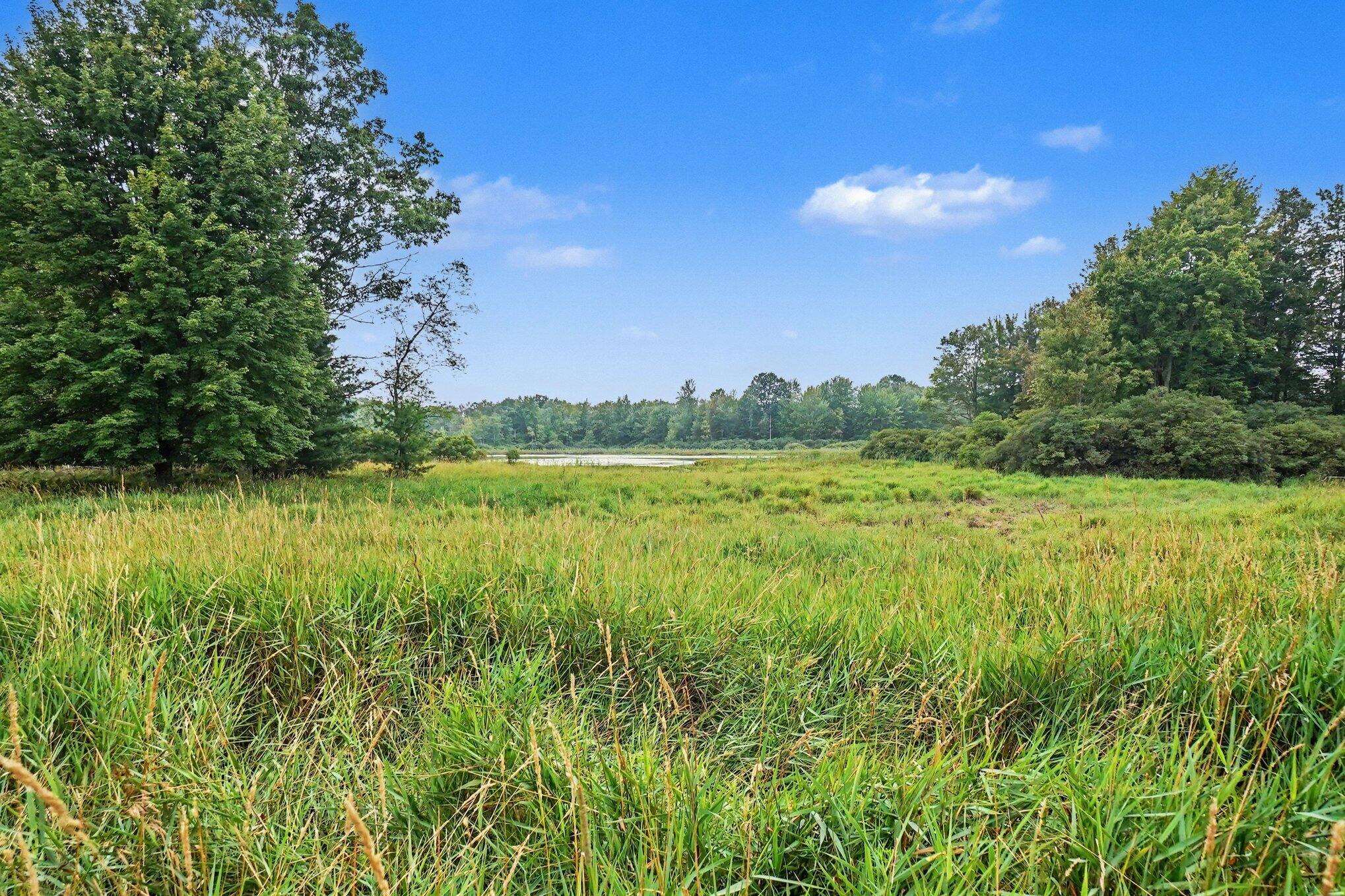6898 E 5 Mile Road Property Photo 60