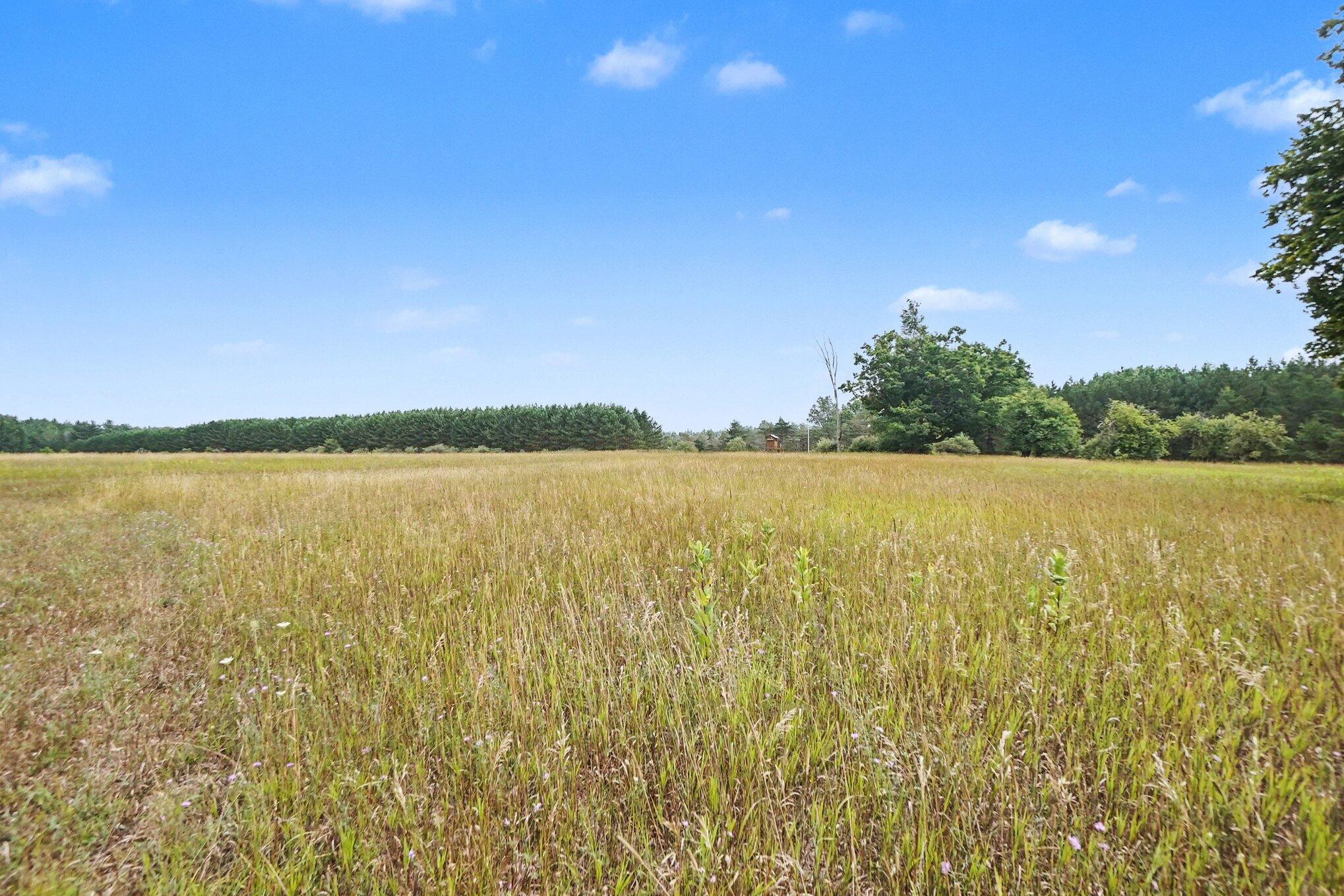 6898 E 5 Mile Road Property Photo 63