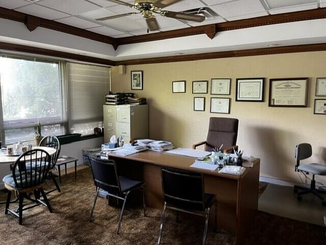 603 Lansing Avenue Property Photo 4