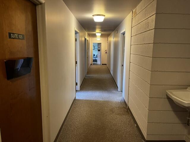 603 Lansing Avenue Property Photo 19