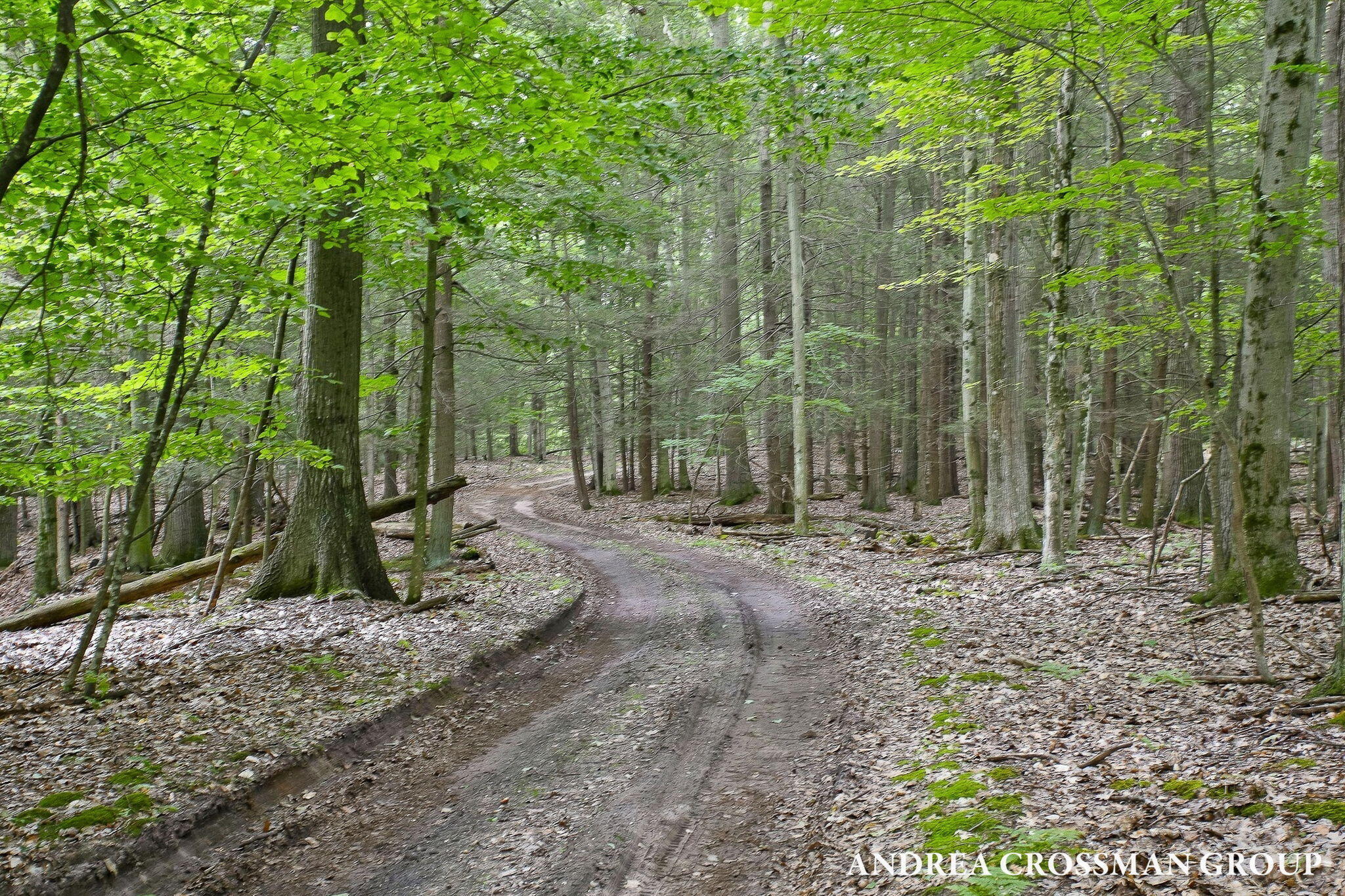 5045 N Ridge Road Property Photo 66