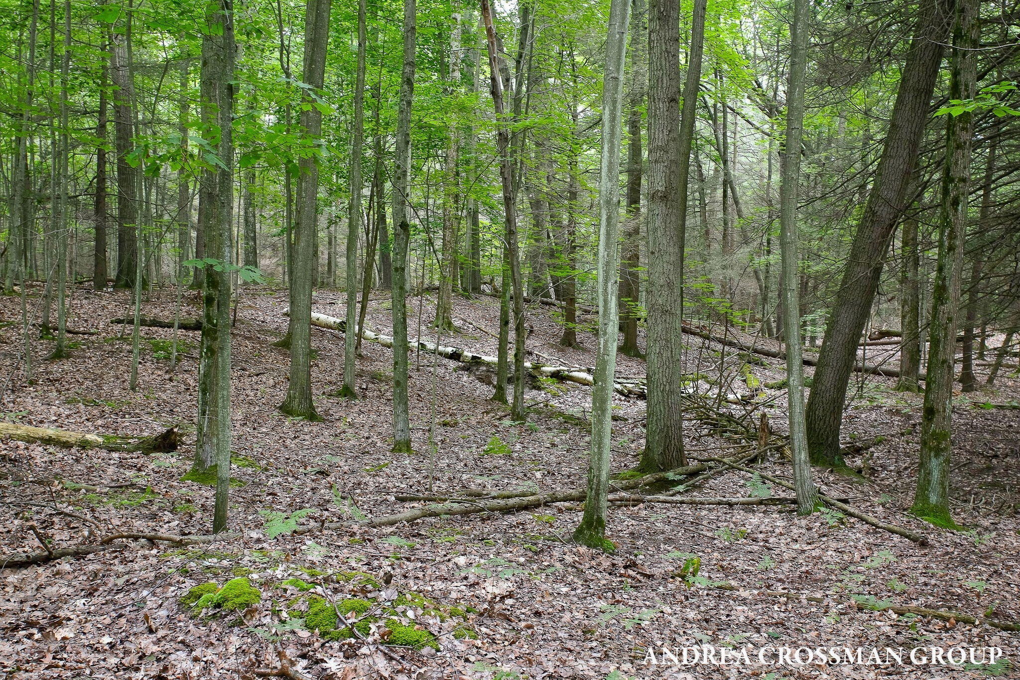 5045 N Ridge Road Property Photo 68