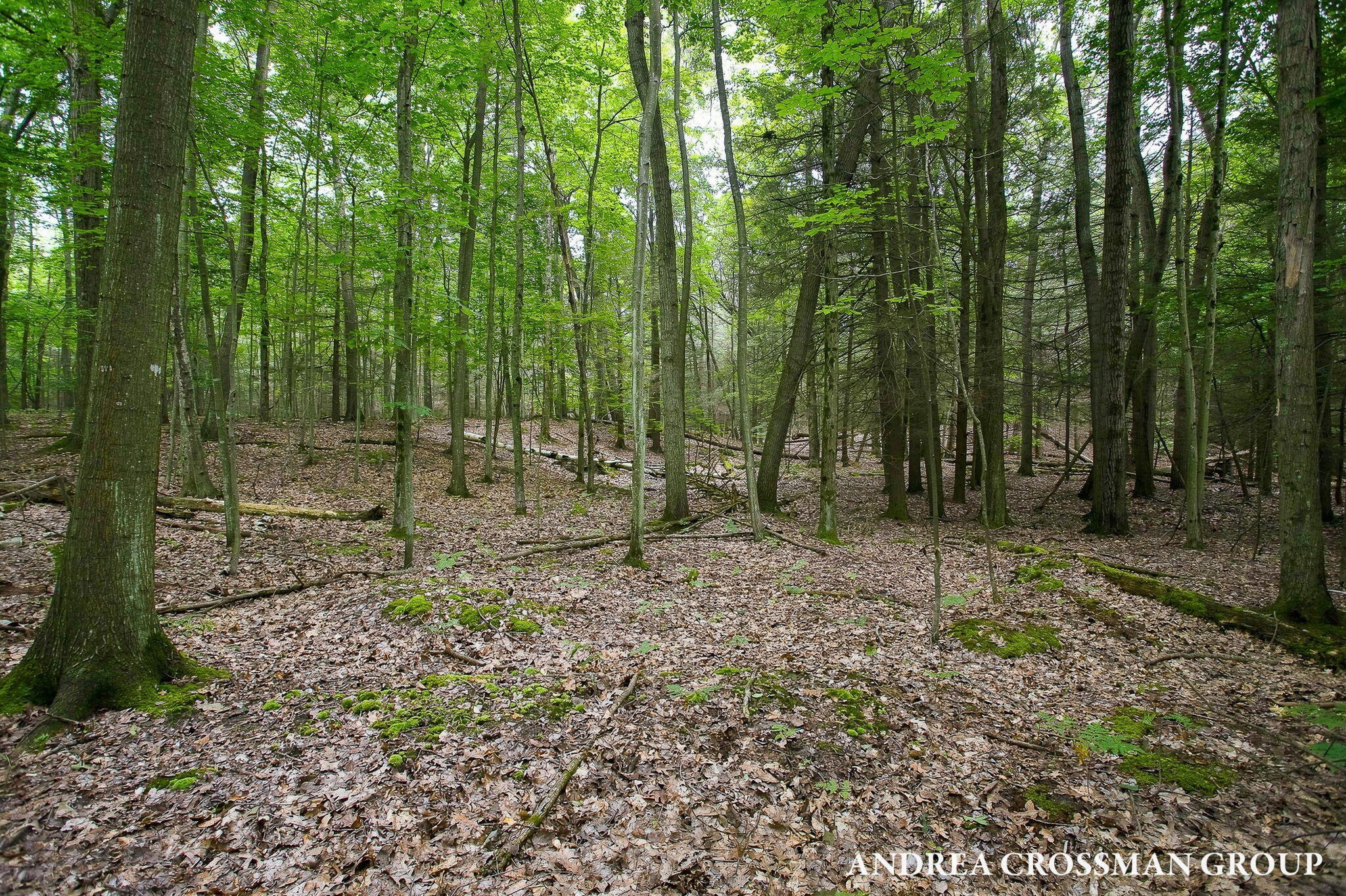 5045 N Ridge Road Property Photo 69