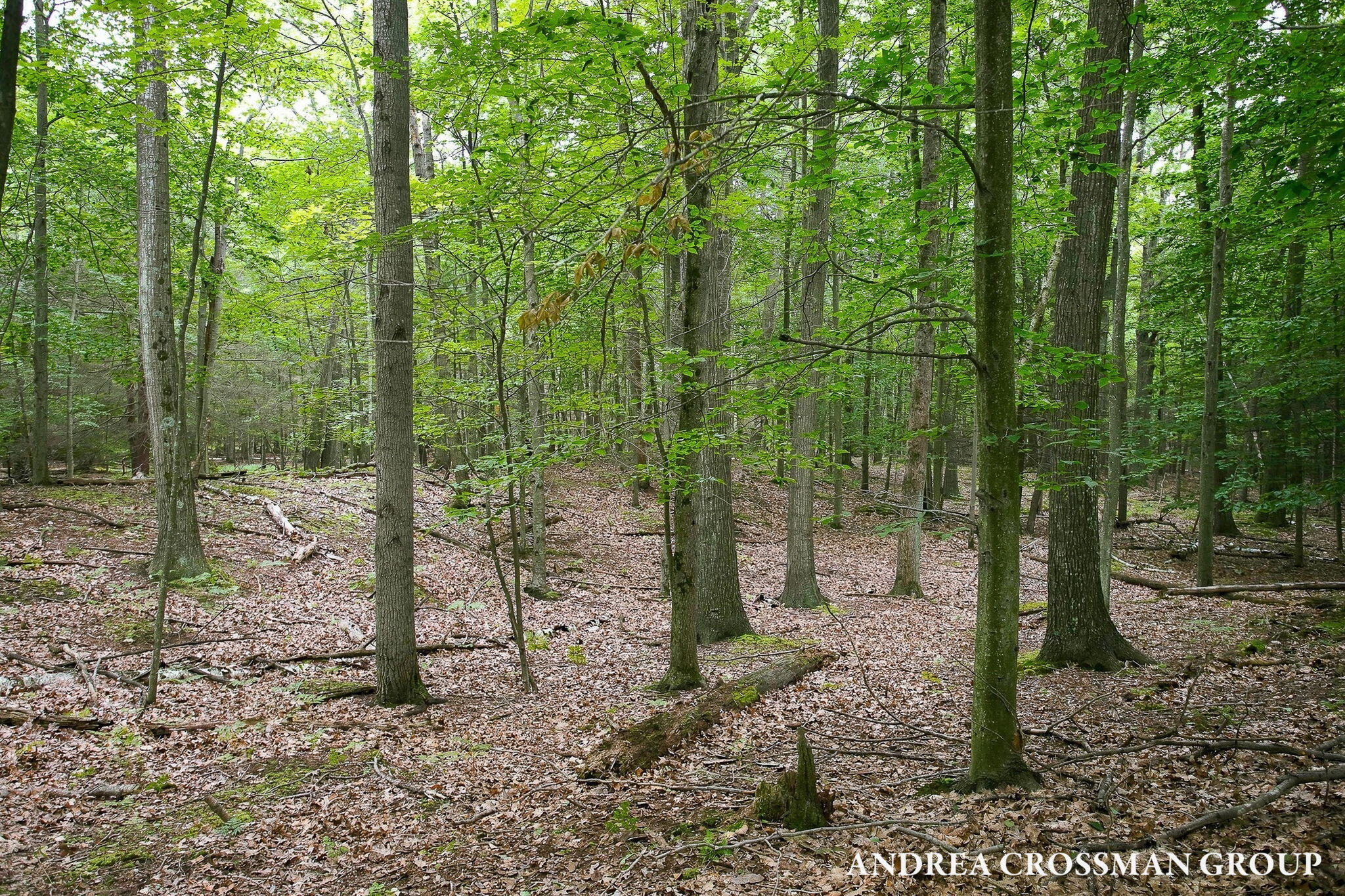 5045 N Ridge Road Property Photo 70
