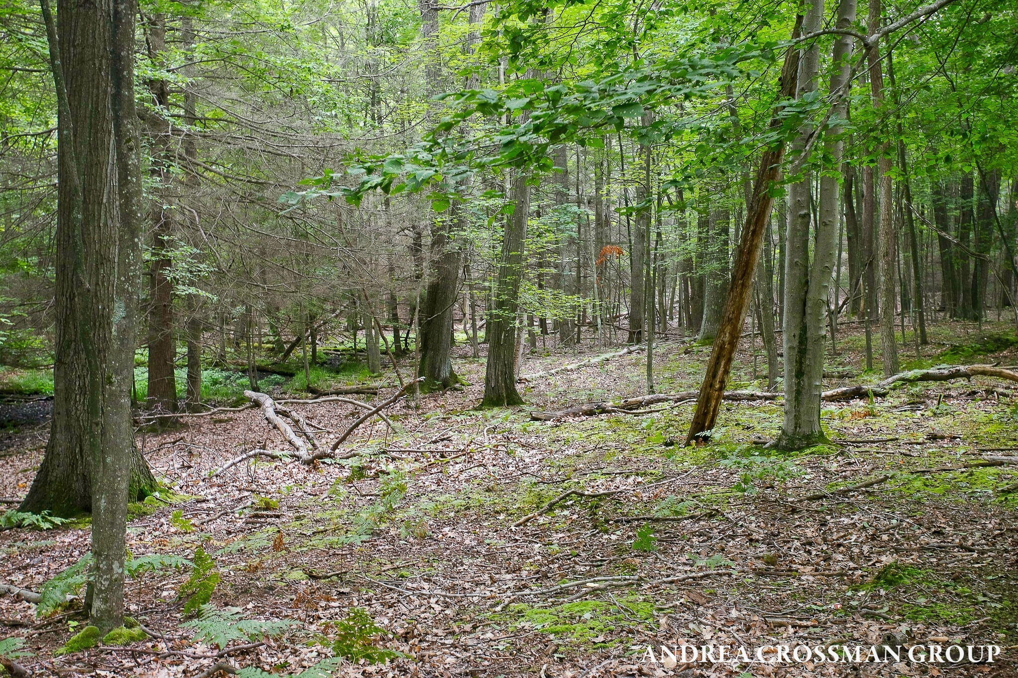 5045 N Ridge Road Property Photo 71
