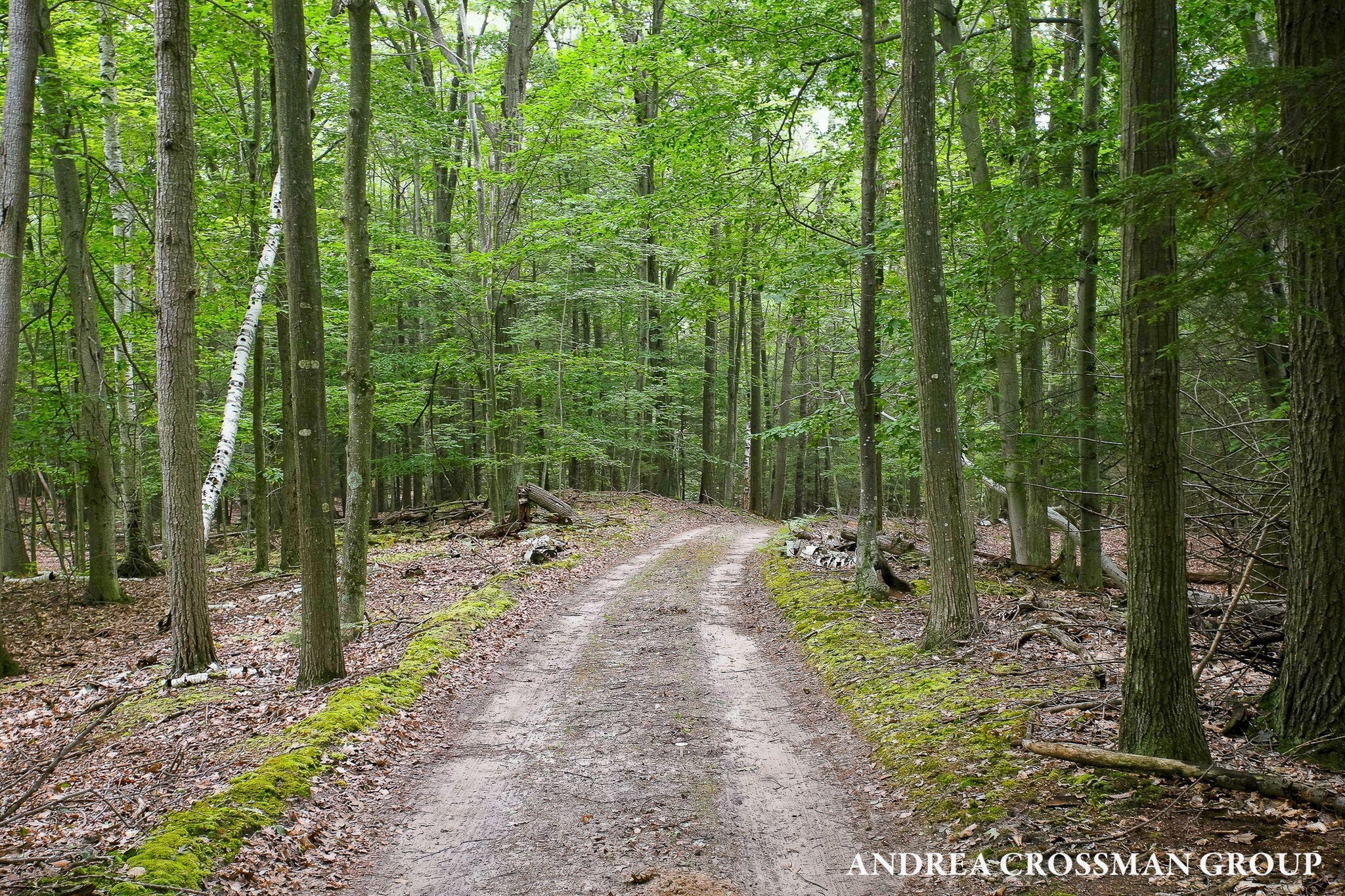 5045 N Ridge Road Property Photo 72