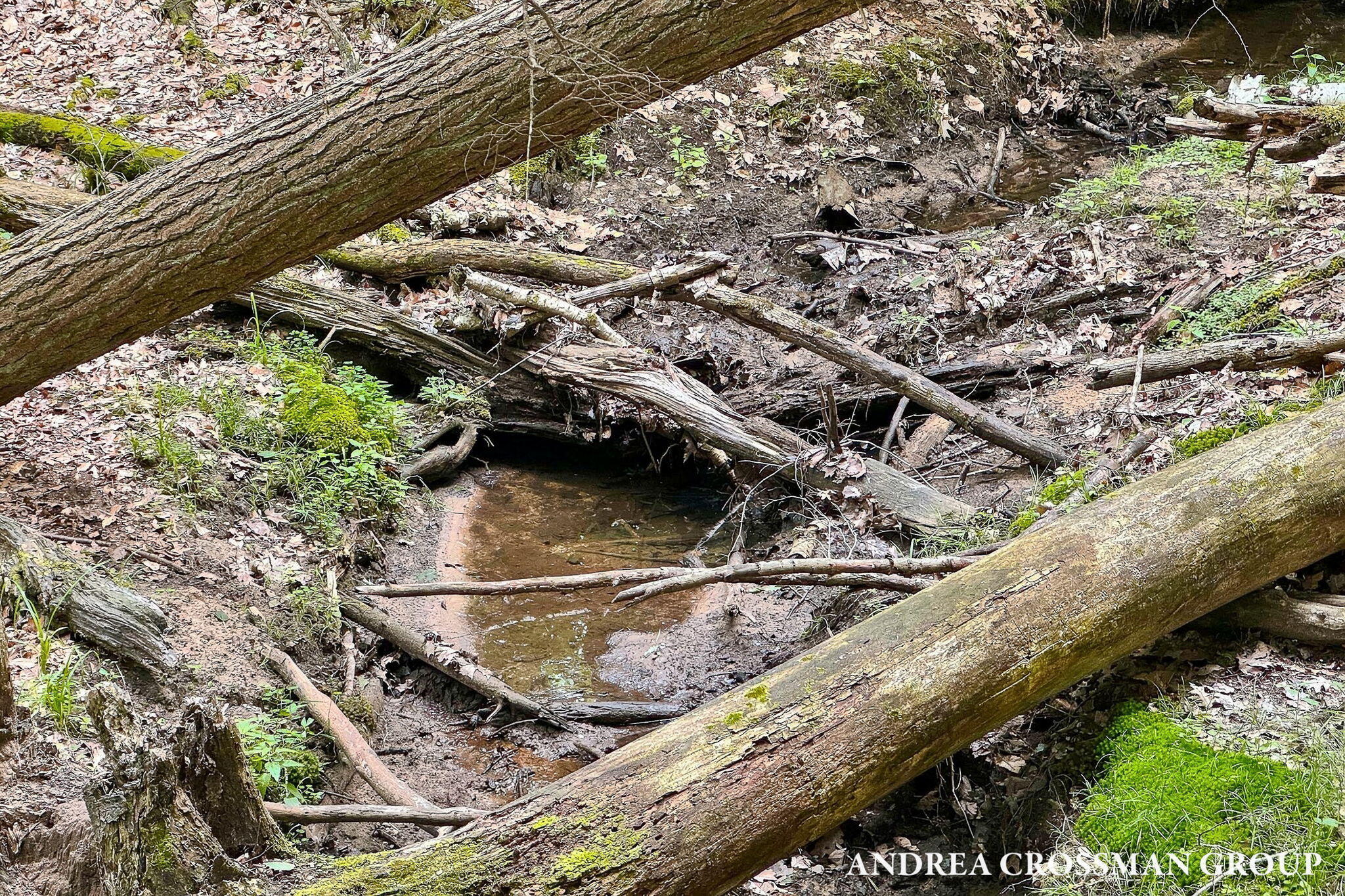 5045 N Ridge Road Property Photo 73