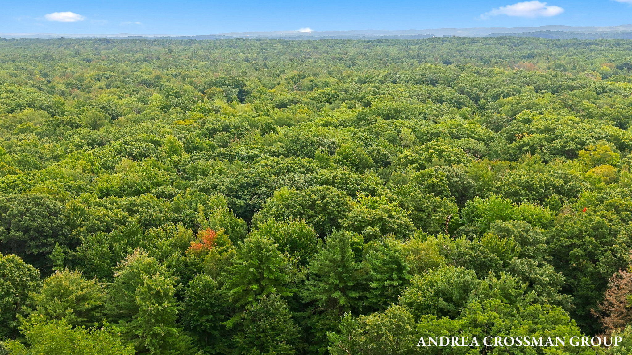 5045 N Ridge Road Property Photo 78
