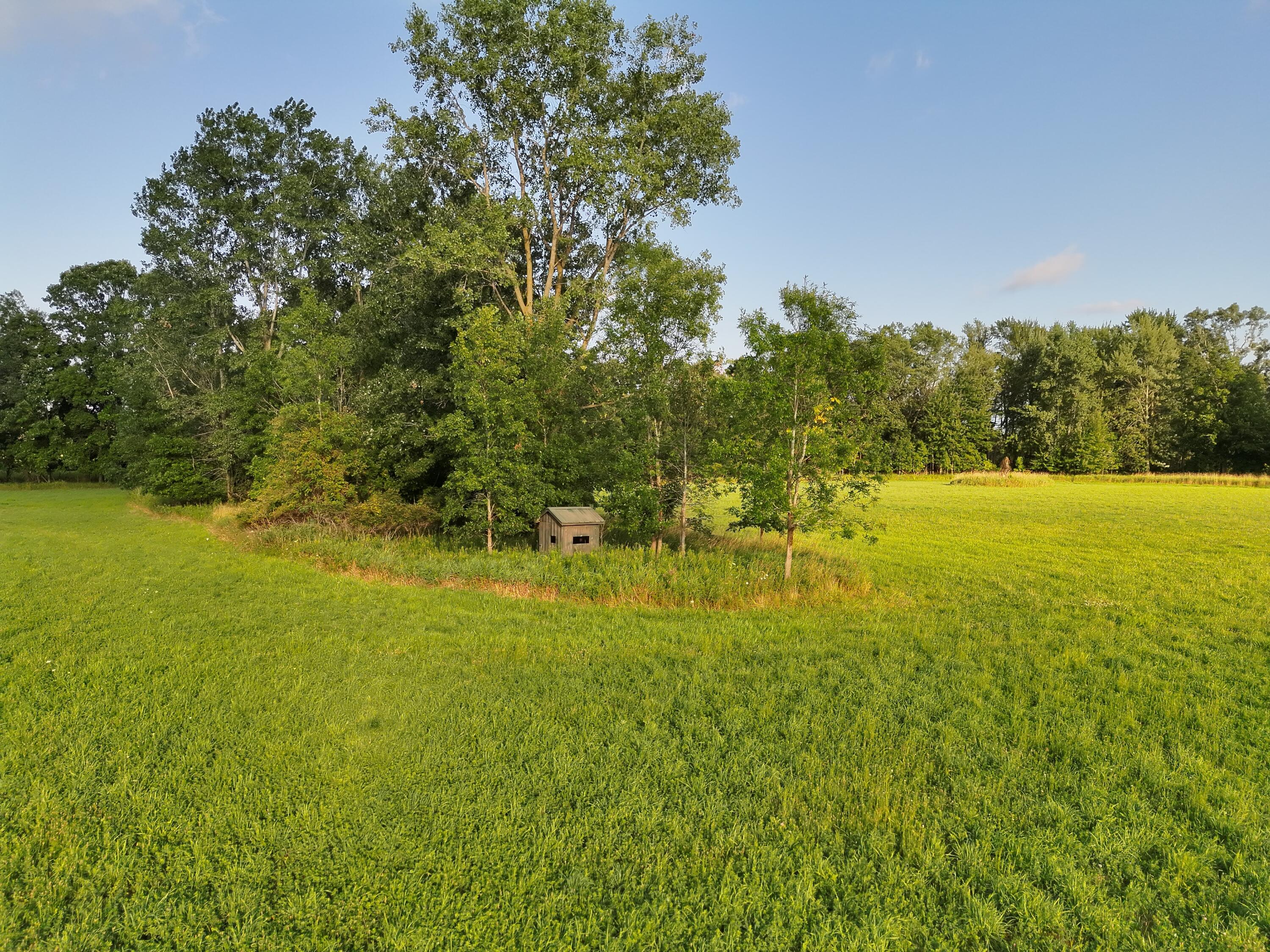4120 E Haslett Road Property Photo 5