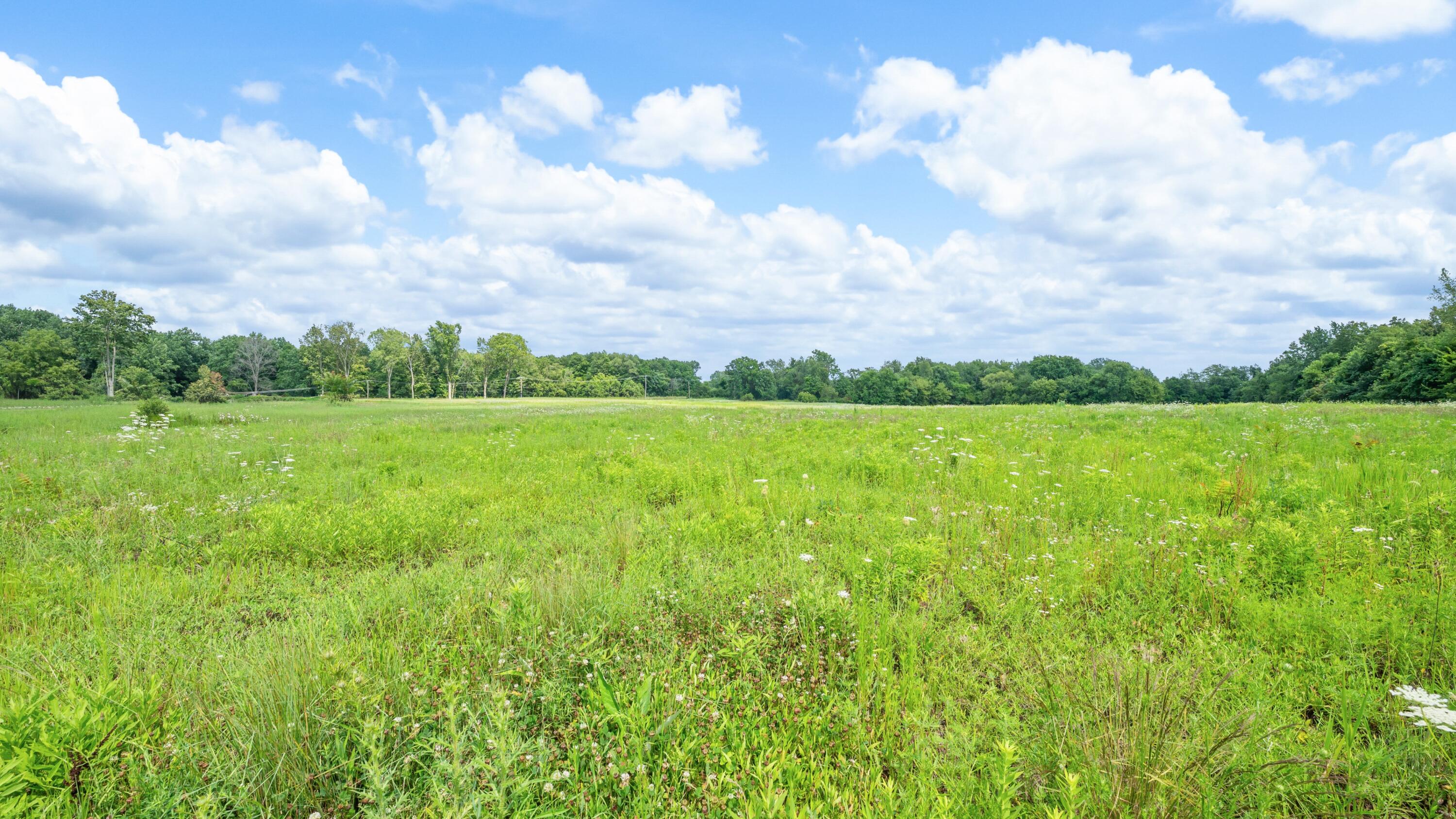 Mayflower Road Property Photo 15