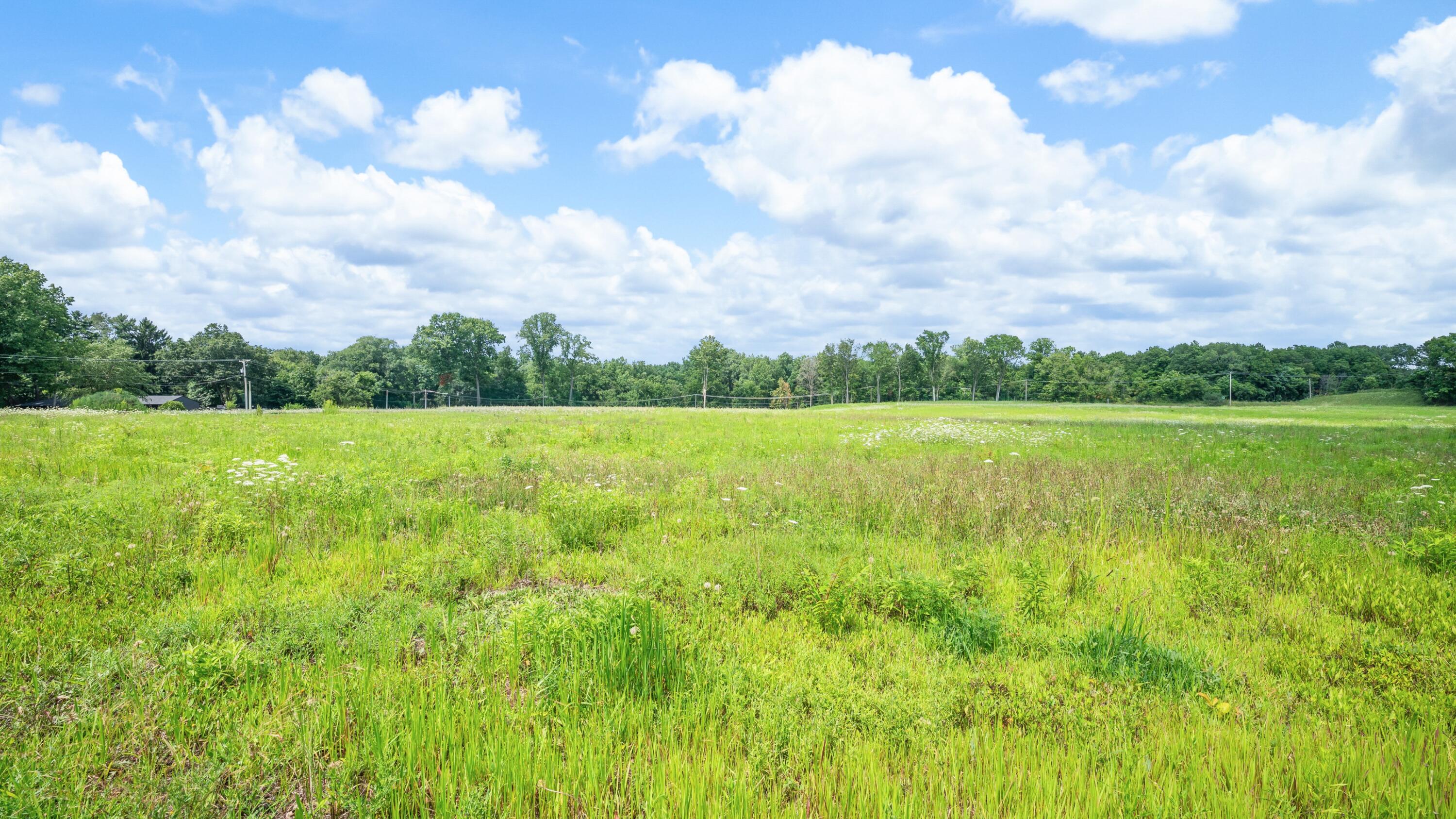Mayflower Road Property Photo 17