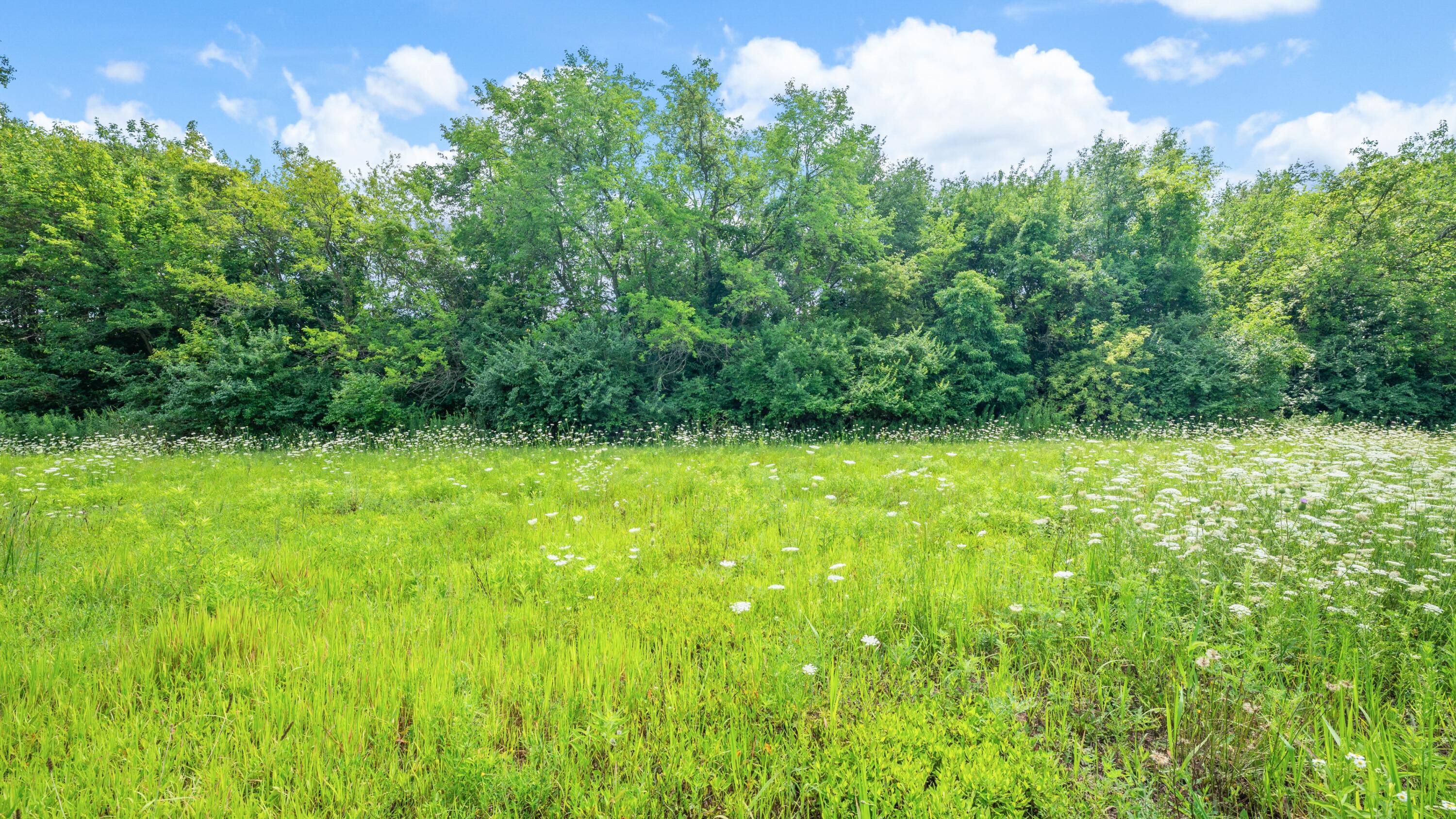 Mayflower Road Property Photo 18
