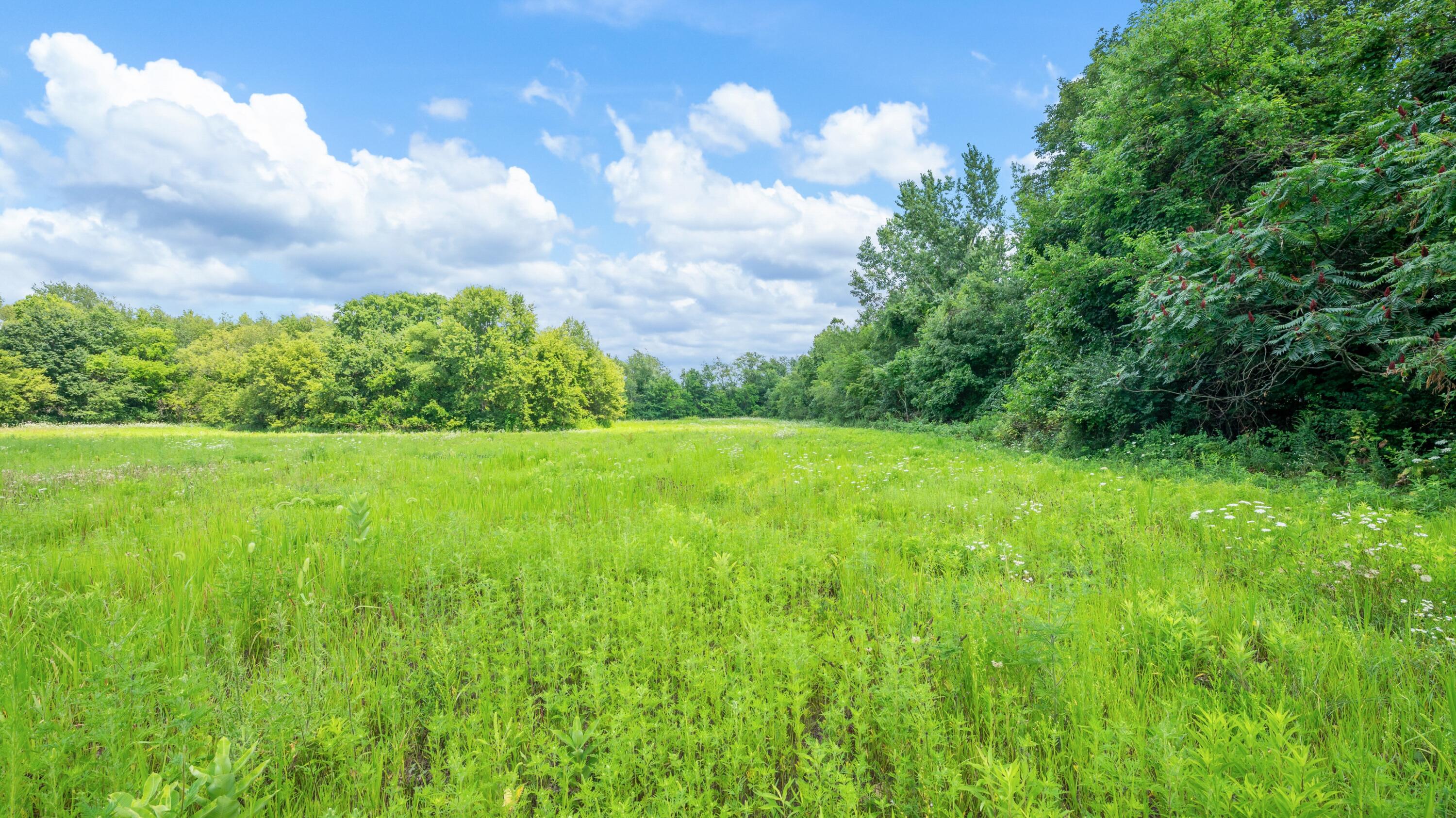 Mayflower Road Property Photo 19