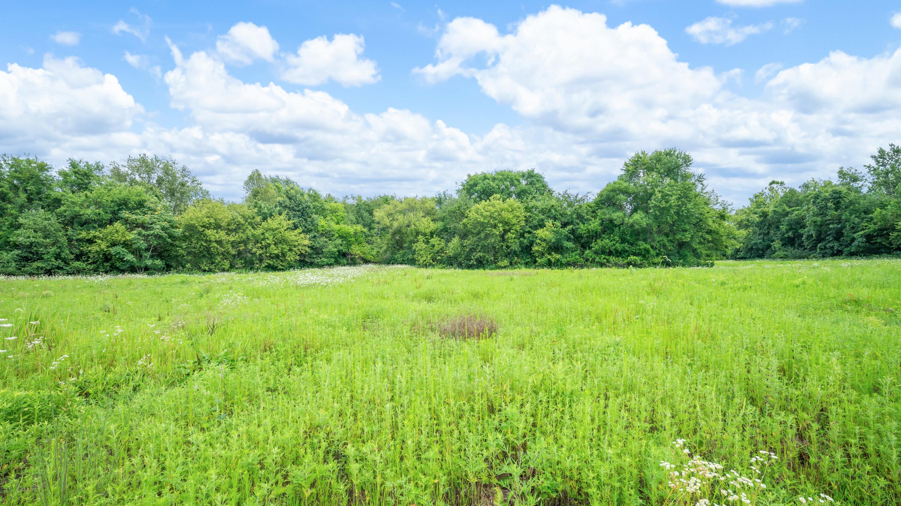 Mayflower Road Property Photo 20