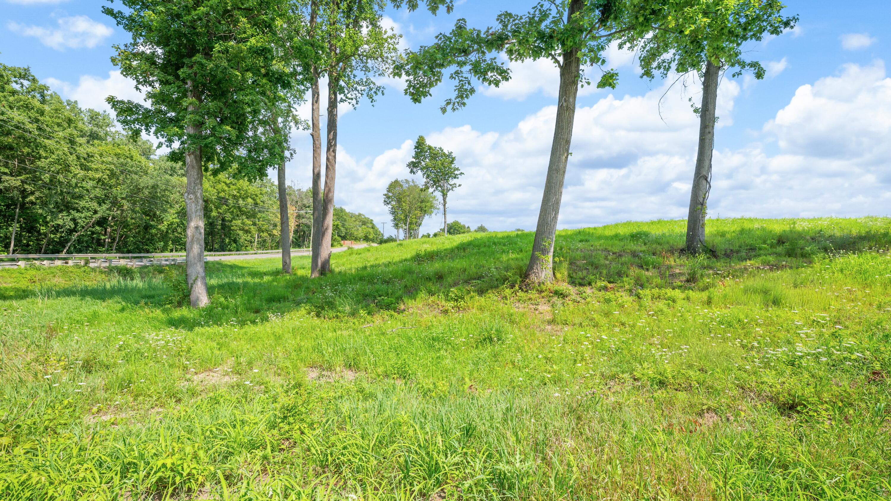 Mayflower Road Property Photo 22