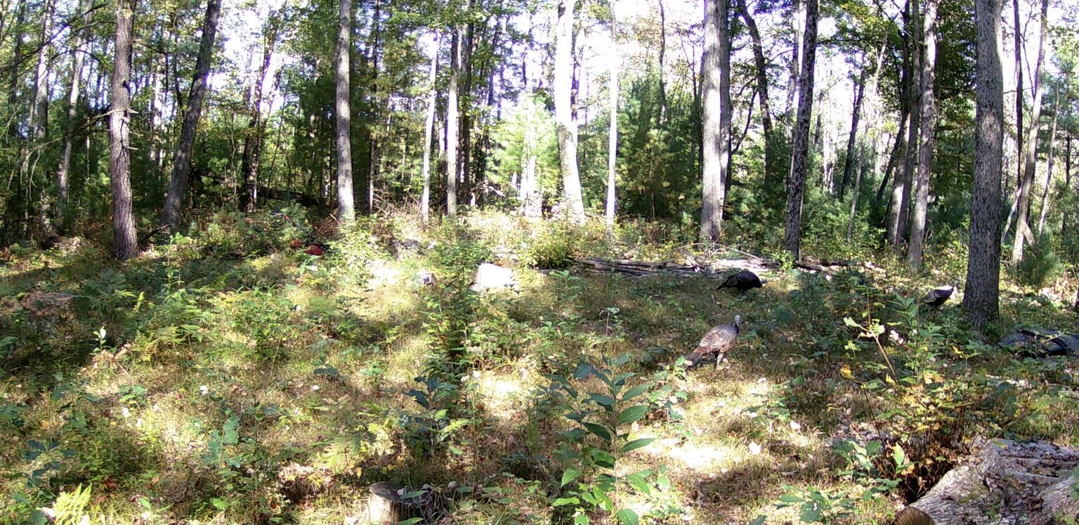 4393 E 8th Street Property Photo 72