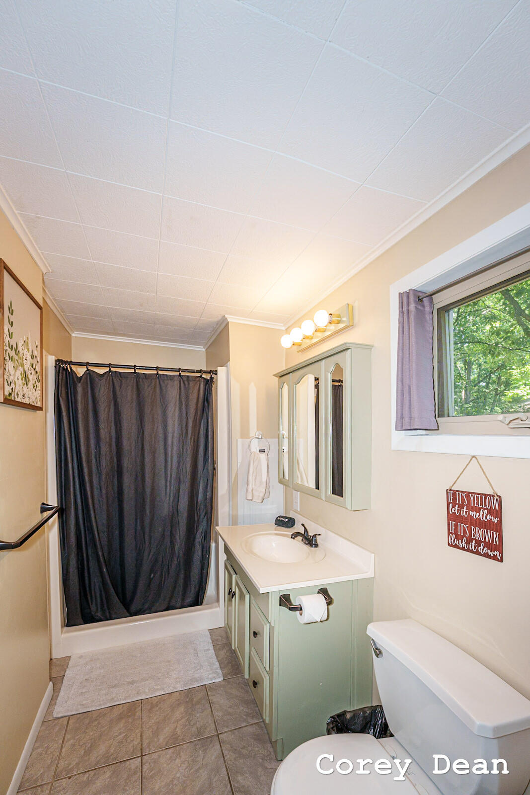 10580 Round Lake Drive Property Photo 18