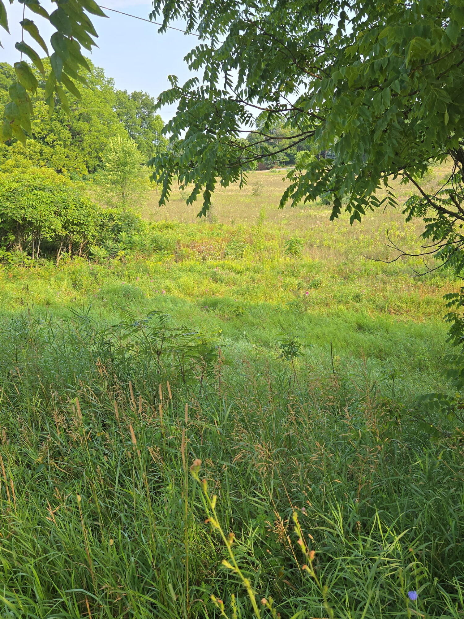Parcel D N 72nd Avenue Property Photo 6