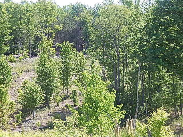 11500 W 14 Road Property Photo 9