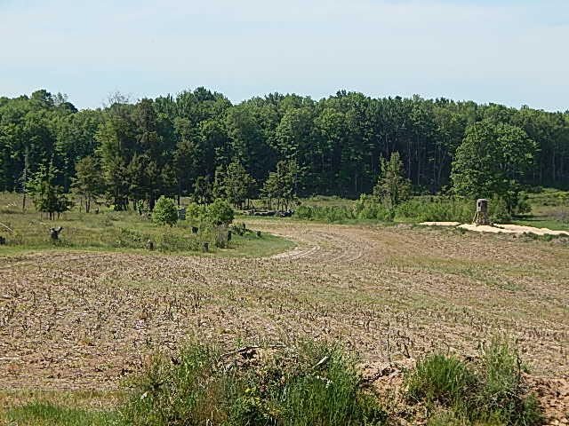 11500 W 14 Road Property Photo 11