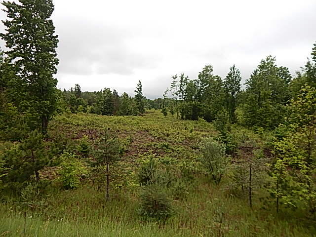 11500 W 14 Road Property Photo 22