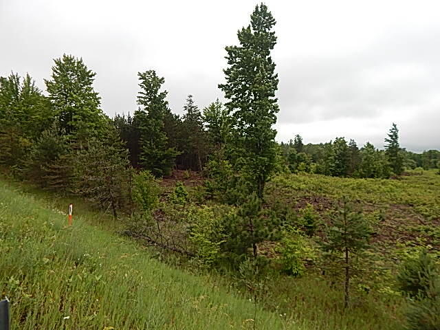 11500 W 14 Road Property Photo 23