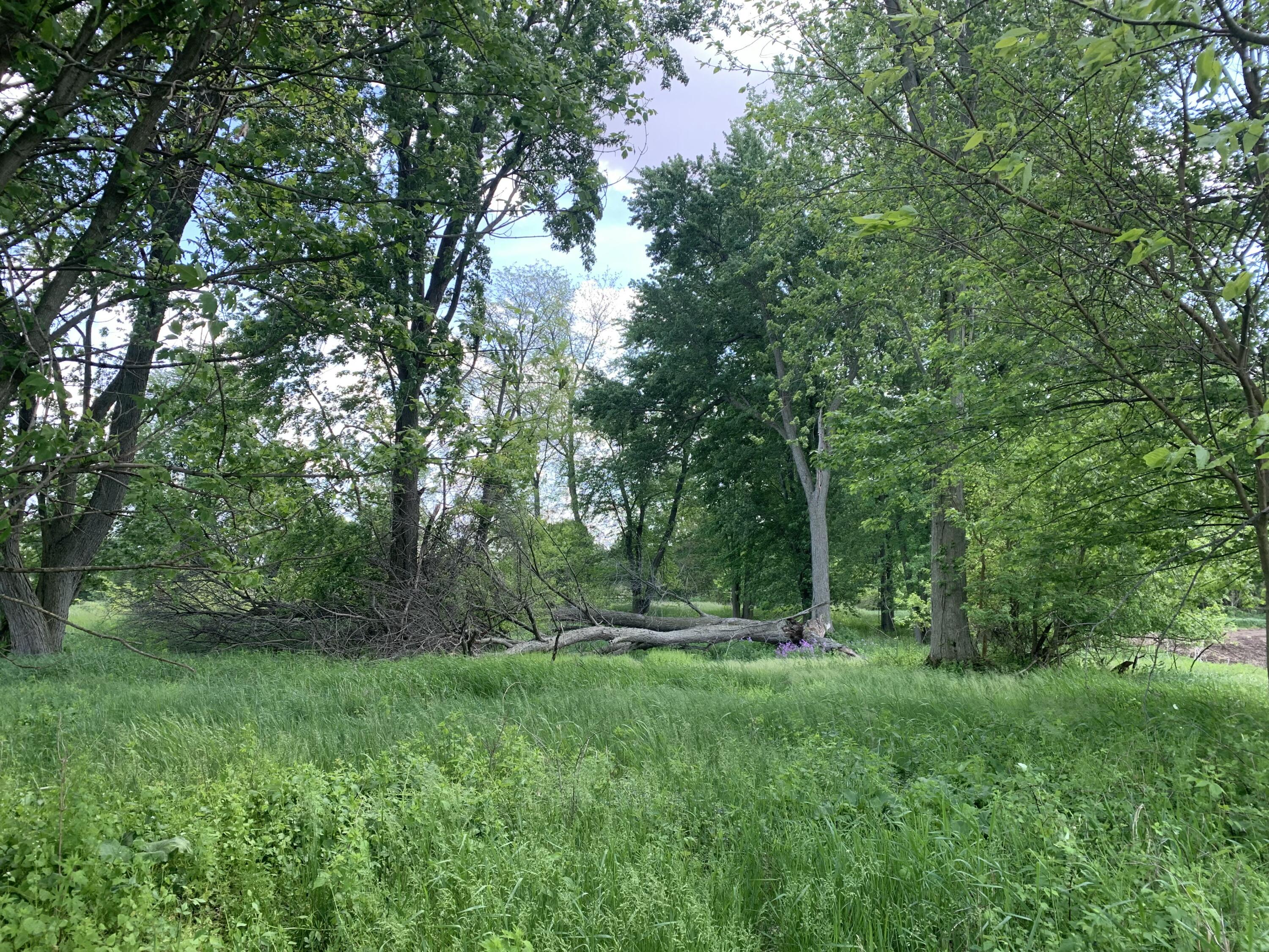 Brink Road Property Photo 1