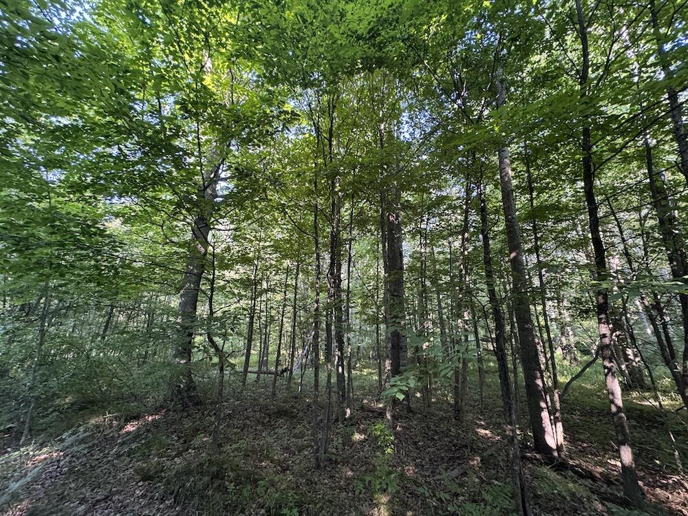 E Procunier Road Property Photo 12