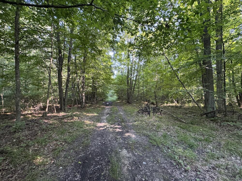 E Procunier Road Property Photo 15