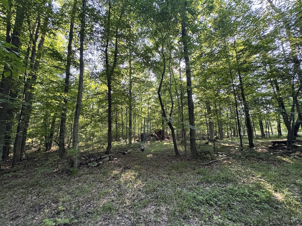E Procunier Road Property Photo 28