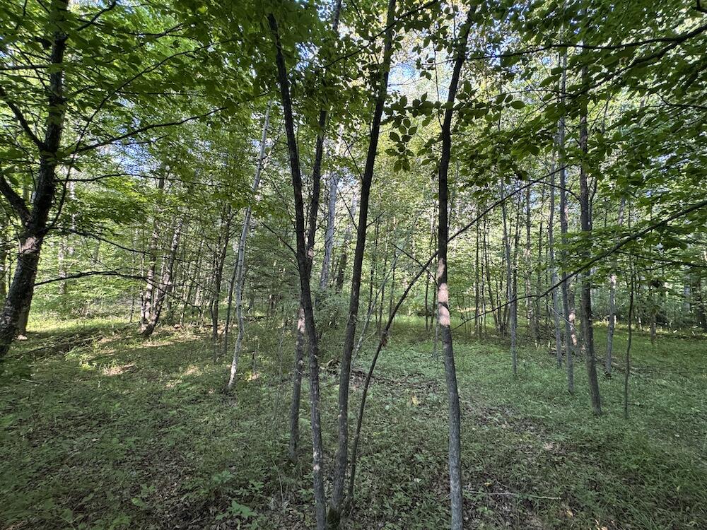 E Procunier Road Property Photo 30