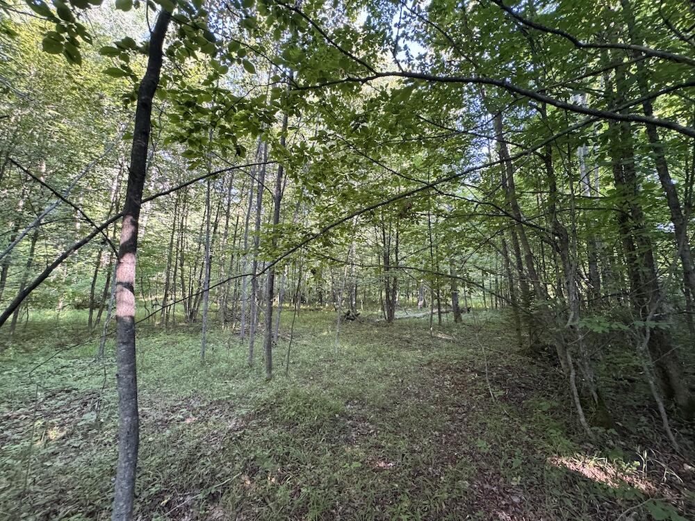 E Procunier Road Property Photo 31