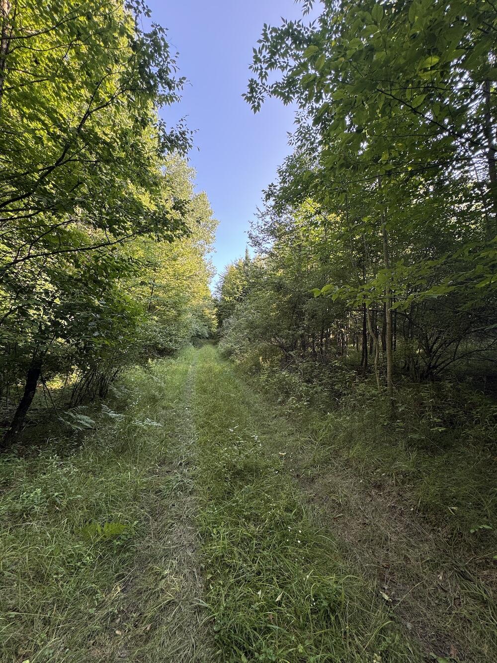 E Procunier Road Property Photo 33
