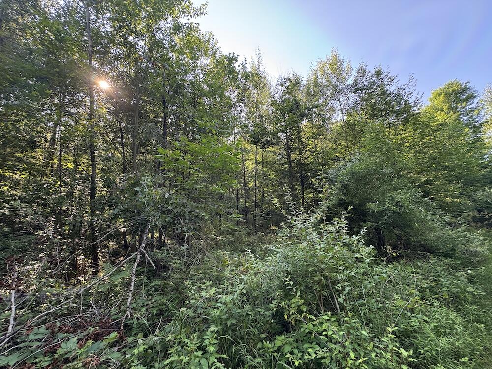E Procunier Road Property Photo 34