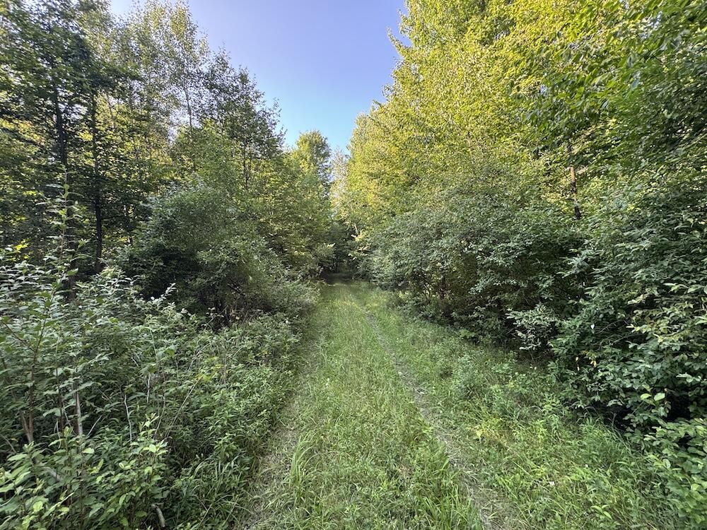 E Procunier Road Property Photo 35