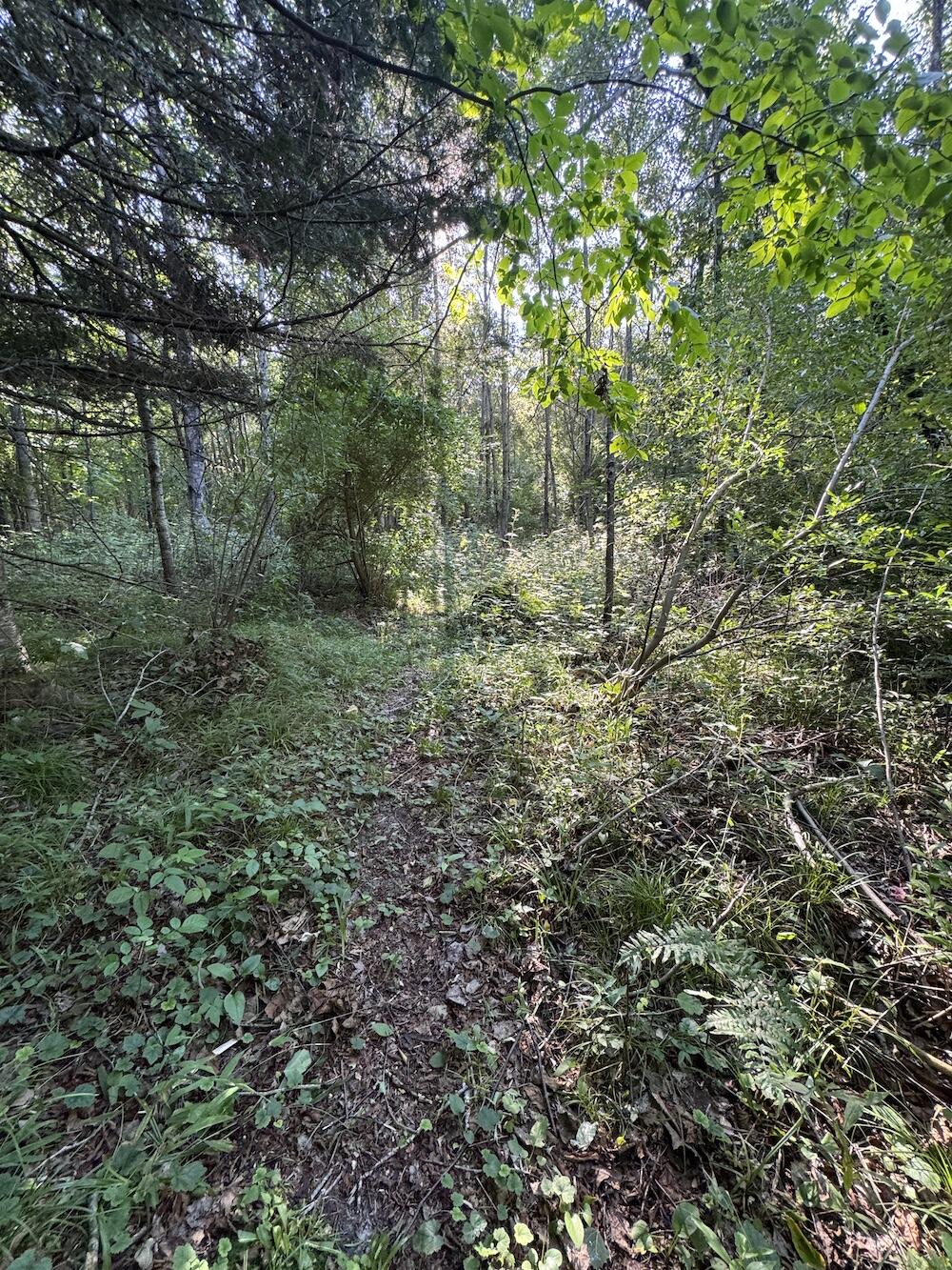 E Procunier Road Property Photo 36