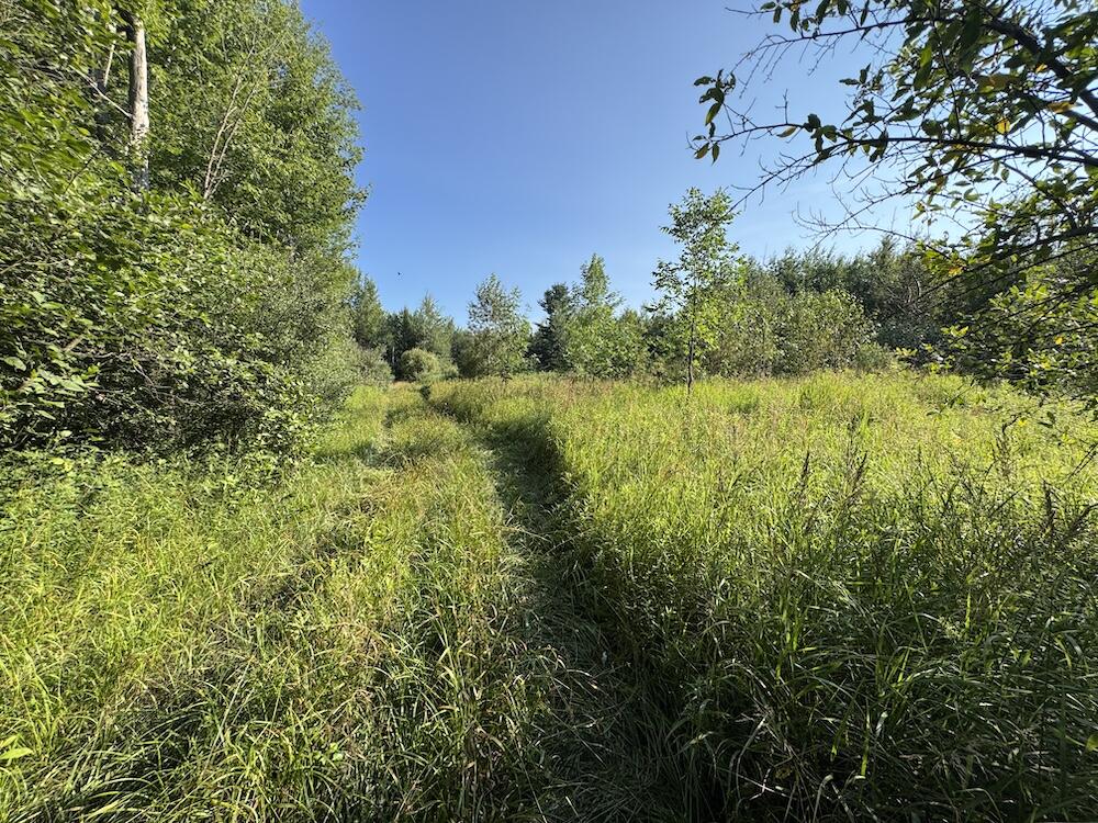 E Procunier Road Property Photo 37