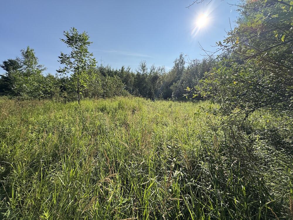 E Procunier Road Property Photo 38