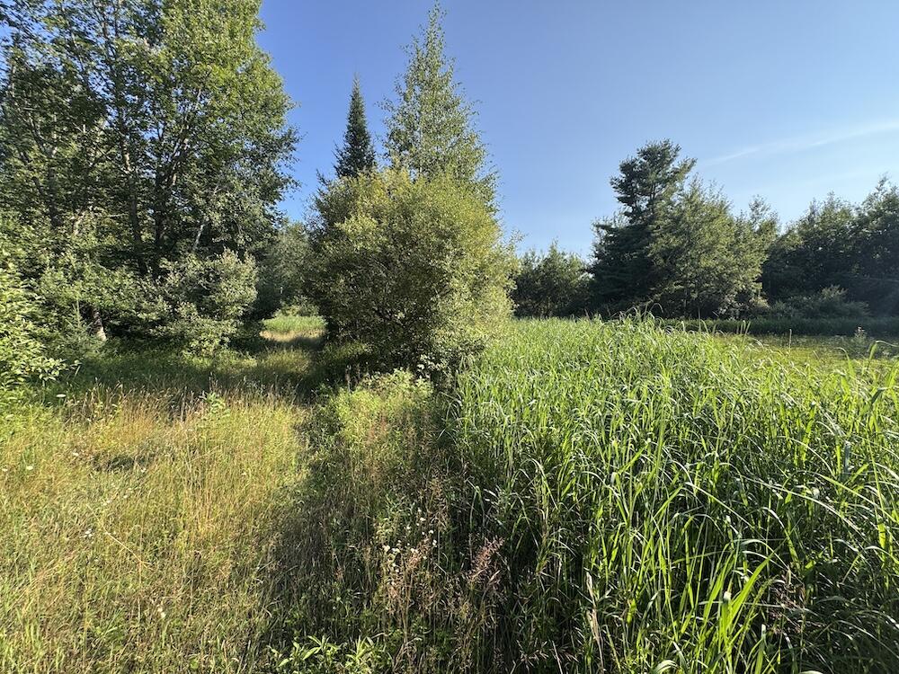 E Procunier Road Property Photo 39
