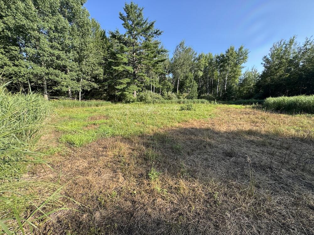 E Procunier Road Property Photo 44