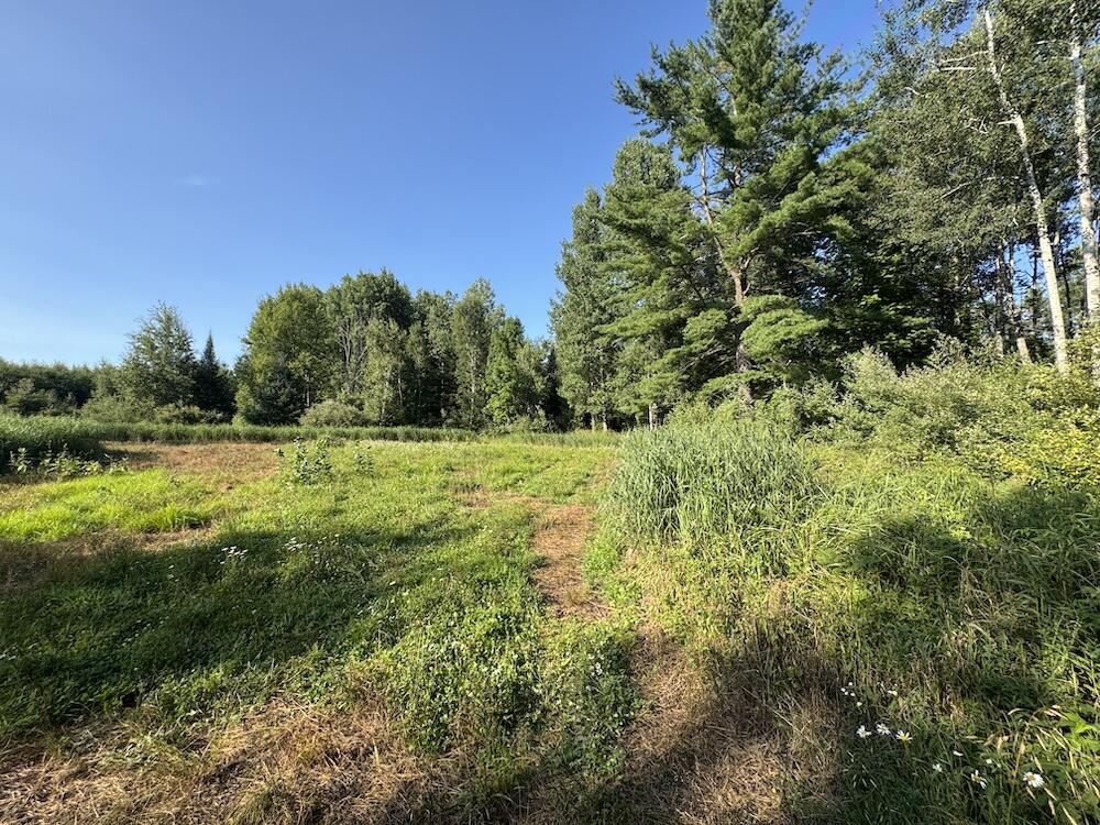 E Procunier Road Property Photo 45