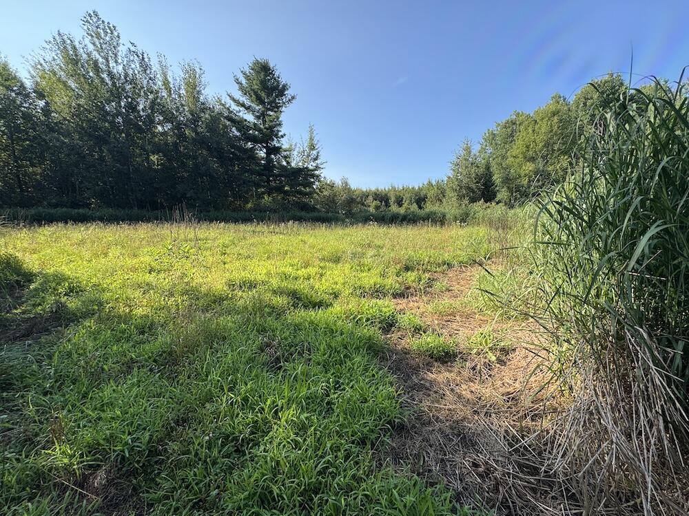 E Procunier Road Property Photo 46