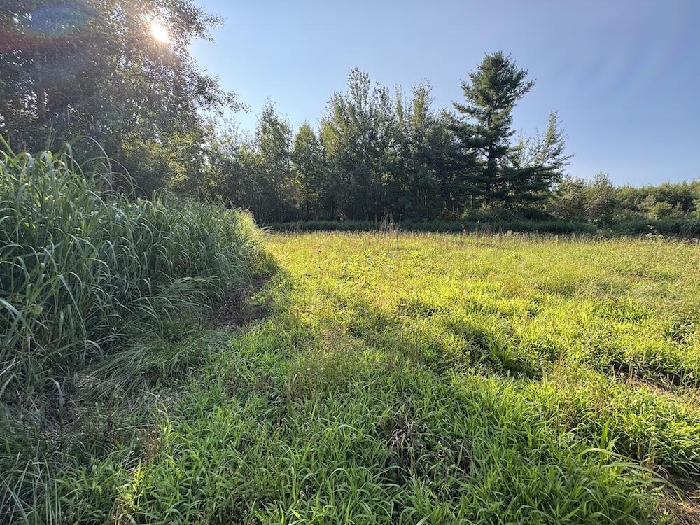 E Procunier Road Property Photo 47